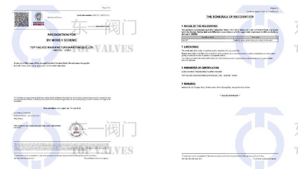 BV工廠型式認可證書(shū)